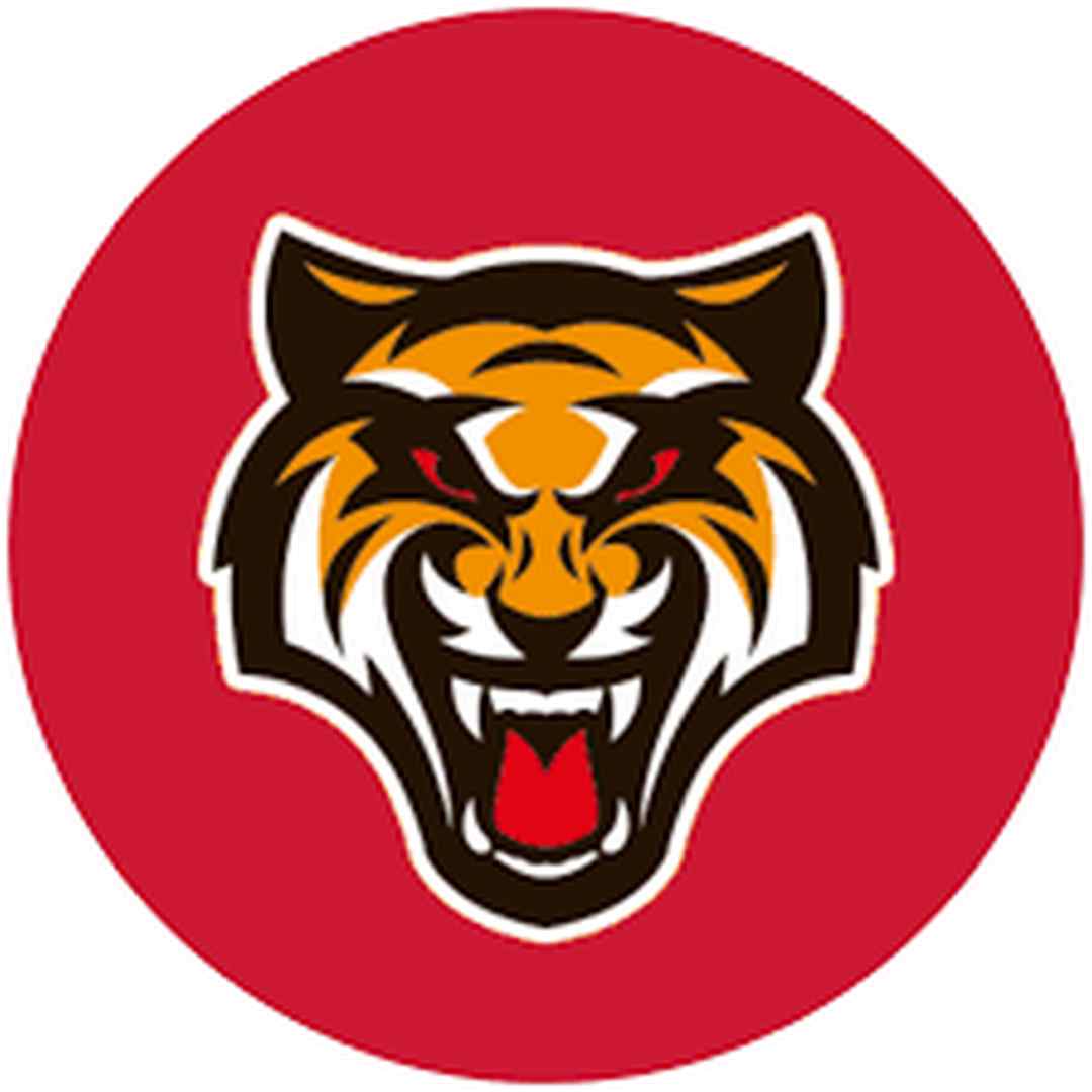 Red Tiger là lựa chọn uy tín và thương hiệu