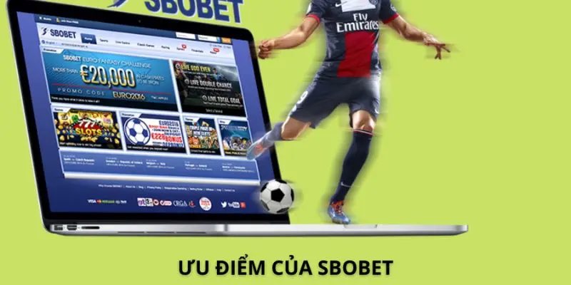 Sảnh cược Sbobet sport có tỷ lệ trả thưởng cực kỳ cao